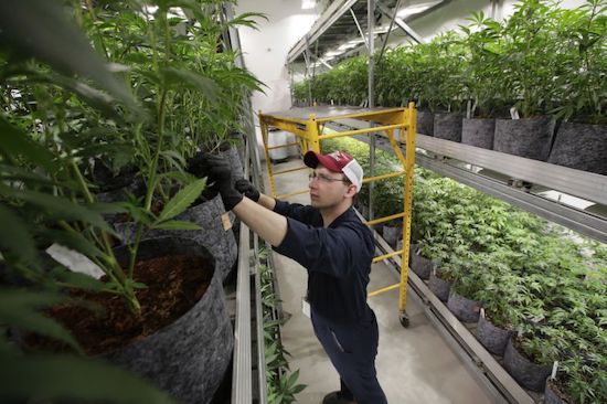 Superbowl Cannabis Werbung